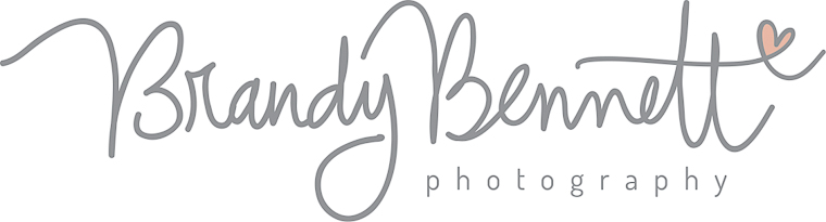 Brandy Bennett Photography logo